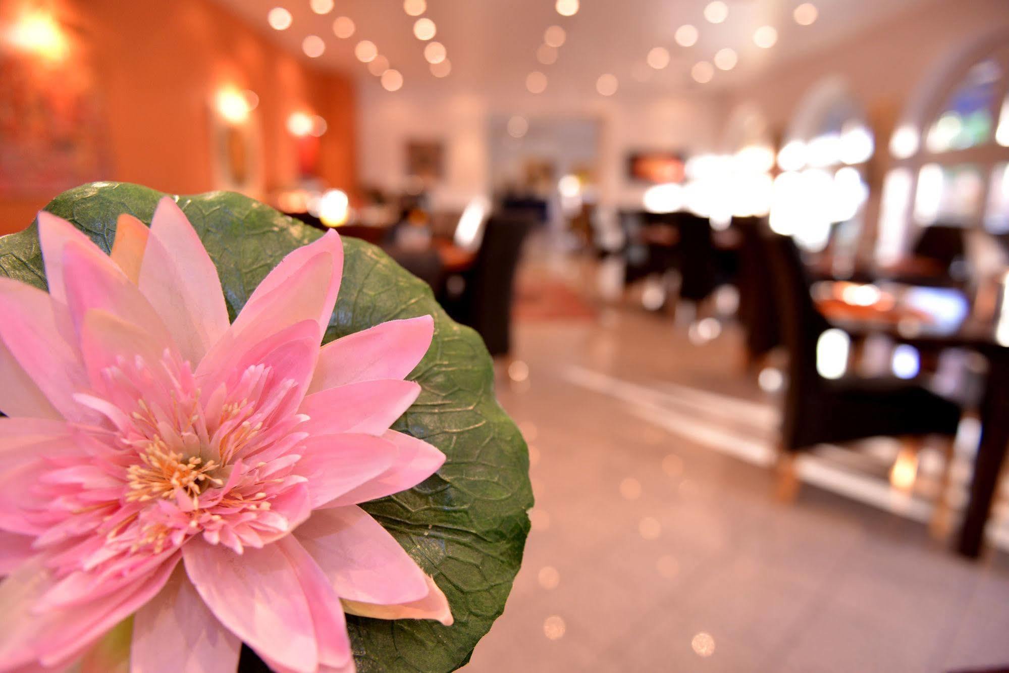 Alpha Hotel Garni Dietzenbach Εξωτερικό φωτογραφία